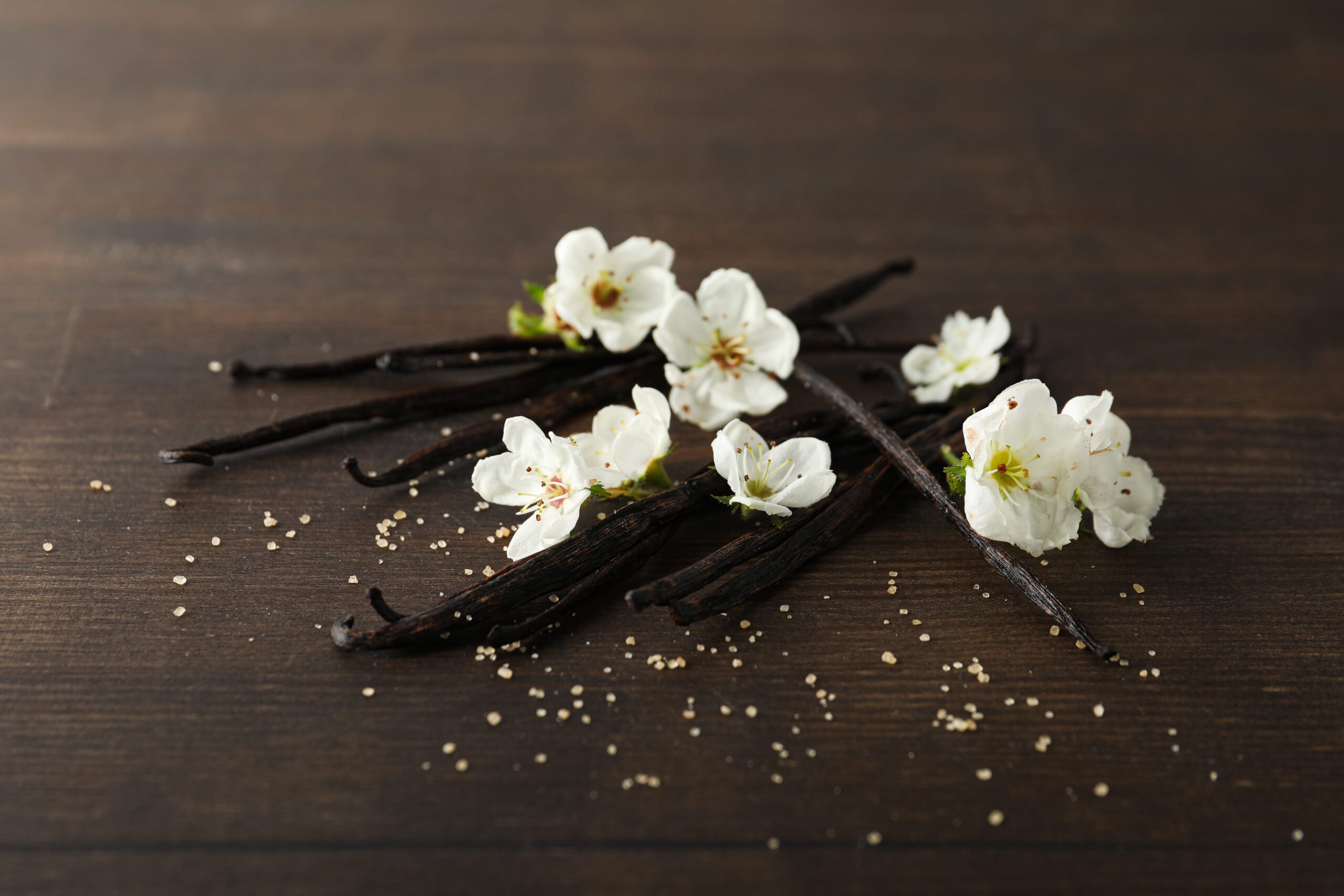 Concept of aromatherapy with aromatic vanilla extract